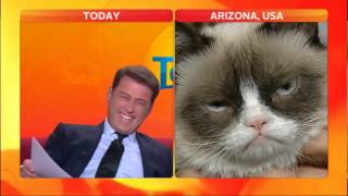 Anchor loses it in Grumpy Cat interview [upl. by Noivad894]