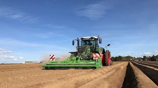 Plantation de pomme de terre chez lETA MANOLI  Fendt 824 avec fraise amp planteuse AVR [upl. by Ahsaret695]