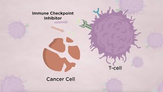 Immune Checkpoint InhibitorRelated Pneumonitis in Lung Cancer  August 2021 [upl. by Allana]