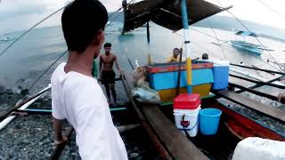 Wow Grabe Ang Jackpot sa mga Mamahaling Isadang Huli fishing fish viralvideo [upl. by Ahsar750]