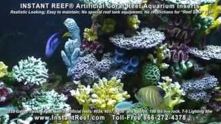 Artificial Corals for Aquariums for saltwater amp freshwater fish tanks [upl. by Veriee251]