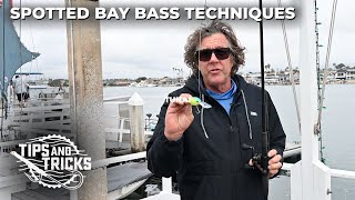 Spotted Bay Bass Techniques  SoCal Bight FISHING ACADEMY Ep 3 [upl. by Chamberlain]