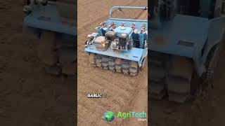 Garlic FARMING Made EASY with This Amazing Machine [upl. by Wendy359]