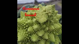 Romanesco broccoli also known as broccolo romanesco romanesque cauliflower or romanesco [upl. by Marna321]