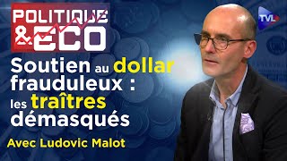 Guerre de l’or et ouragan bancaire  vaincre l’apocalypse  Politique amp Eco n°406 avec Ludovic Malot [upl. by Dleifrag]