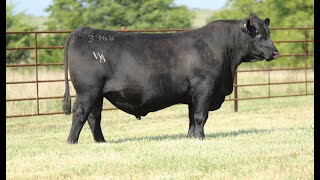 Lot 4 Worthington Combined 3968 [upl. by Nollek545]