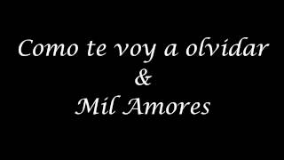 Como te voy a olvidar amp Mil Amores quotLos Latin Brothers del Ecuadorquot [upl. by Delsman]