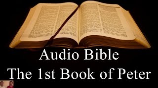 The First Book of Peter  NIV Audio Holy Bible  High Quality and Best Speed  Book 60 [upl. by Ah983]