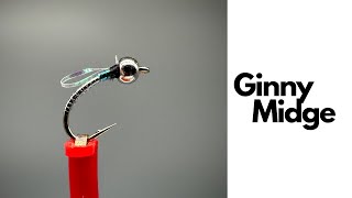 Ginny Midge on a Norvise [upl. by Meghan]