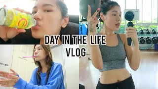 Productive Vlog  Day in the Life [upl. by Carman]