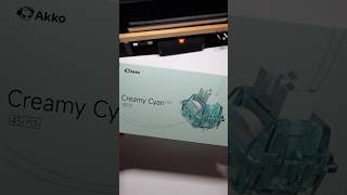 Do you like Clicky Switches  Akko Creamy Cyan typing asmr akkoswitches akko [upl. by Hillier708]