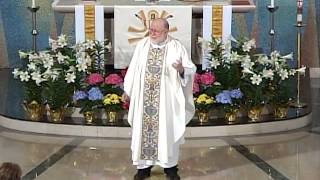 Catholic Easter Homily [upl. by Fatima]