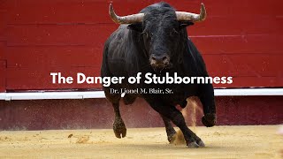 The Danger Of Stubbornness [upl. by Elleira]