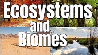 Ecosystems and Biomes  Classroom Learning Video [upl. by Briscoe]