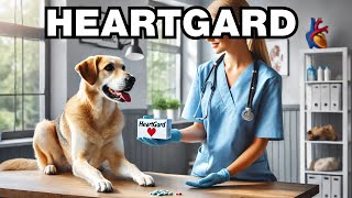 What Is Heartgard For Dogs Explained [upl. by Kissie]