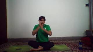 Daily Live Yoga Session  M Wasim Tahir  20241120 [upl. by Wilterdink248]