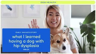 What I Learned Having a Dog with Hip Dysplasia [upl. by Suoirred]