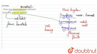 How are pteridophytes different from the phanerogams  9  DIVERSITY IN LIVING ORGANISMS  BIO [upl. by Audley]