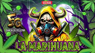 Banda La Fregona  La Marihuana Tema Muertero 2024 [upl. by Dannel214]