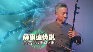 Colgera Boss Theme Music  The Legend of Zelda Tears of the Kingdom（Erhu Cover 塞尔达传说：风之神殿BOSS 二胡版 [upl. by Sancha]