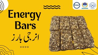 Energy Bar Recipe  No added sugar  SugarFree Snack  Date Bars [upl. by Petrie]