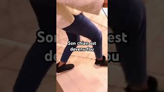 Group Verity et Chelsea prank humour prt funny percer shortsclip [upl. by Ifill]