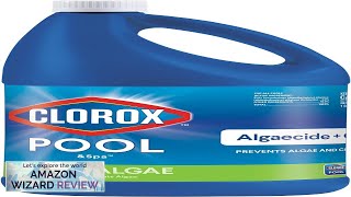 Clorox® PoolampSpa™ Swimming Pool Algaecide and Clarifier Prevents and Treats Pool Algae Review [upl. by Artkele]