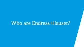 Who are EndressHauser [upl. by Aracahs745]