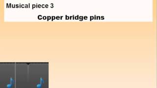 Comparing bridge pins on Taylor DN3 [upl. by Karalee257]