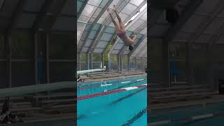 Jump Pike and Back Dive 201B x1 shorts divingboard acrobatics 1meter springboard [upl. by Buddy]