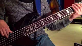 Erykah Badu  Appletree Bass Cover [upl. by Towers]