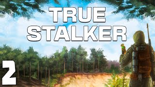 STALKER True Stalker 2 Артефакты для Торговца [upl. by Eirahs]