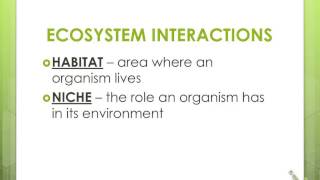 Ecology Notes  Organisms amp Their Relationships [upl. by Adnael343]