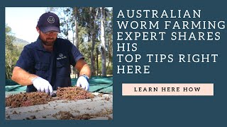 Australian Worm farming expert shares HIS TOP TIPS [upl. by Ulick520]