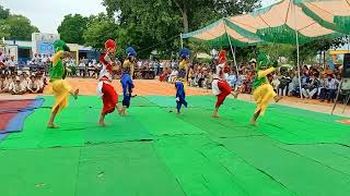 Bhangra Performance Given by GSSSS PANDORI NIJJARAN On 15 August Independence Day [upl. by Eiznikam]