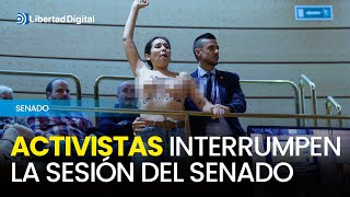 Dos activistas semidesnudas interrumpen la sesión del Senado para gritar quotel aborto es sagradoquot [upl. by Weinstein992]