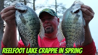 SPRINGTIME CRAPPIE ON REELFOOT LAKE Xtreme Crappie [upl. by Blackington462]