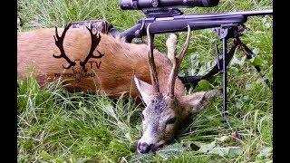 Bockjagd vor der Blattzeit Pre Rut Roebuck hunt in Slovenia 2017 [upl. by Ahsiekahs]