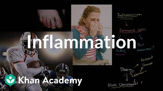 Inflammation  Miscellaneous  Heatlh amp Medicine  Khan Academy [upl. by Jenesia999]