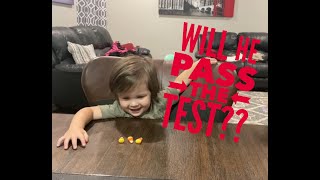 2 Year Old Candy Challenge Will he pass [upl. by Lamarre]