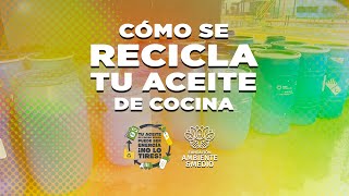 ¿Cómo se recicla tu aceite de cocina [upl. by Haleak]