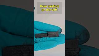 metallisches Uran oxidiert an der Luft chemie uran chemistry experiment [upl. by Kopp]