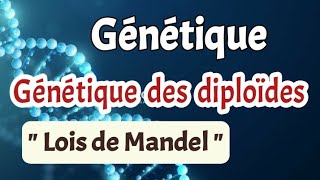 Génétique Chapitre 3 génétique des diploïdes partie1 lois de Mandel [upl. by Obed567]