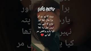 Junoon e yaram by Areej shah yaramkazmi rooh [upl. by Kred]