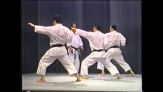 Karate Shotokan Ryu Asai Ha Sensei Tetsuhiko Asai  Kihon and Kata [upl. by Amled]