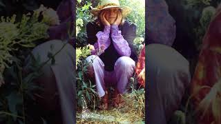 quotThe Hangmans Beautiful Daughterquot by The Incredible String Band  Episode 233 music musichistory [upl. by Dnaloy]