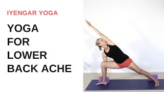 Yoga for lower back ache  Iyengar Yoga [upl. by Dymphia579]