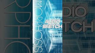 AUDIOSKETCH  MORPHOSIS httpsdittofmmorphosisaudiosketch DrumAndBass DNB Audiosketch [upl. by Feodor]