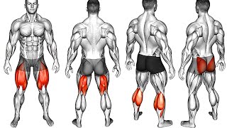 Best Glutes Hamstrings Quadriceps Calves Exercises [upl. by Enilatan]