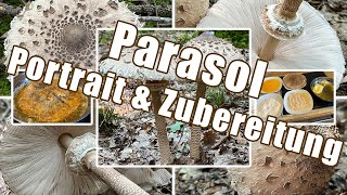 Parasol zubereiten  Verwechslung amp Portrait  Gemeiner Riesenschirmling Macrolepiota procera [upl. by Allison]